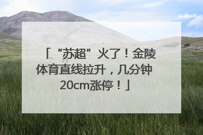 “苏超”火了！金陵体育直线拉升，几分钟20cm涨停！